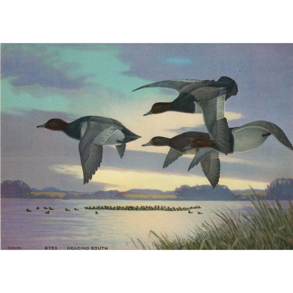 Vintage Calendar Print "Heading South" 6x7.75